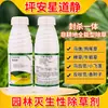 Herbicida Laien Ping'An Xingdaojing 20% Etóxidosulfurón-Etilo para Huertos, Pastizales y Malezas de Hoja Ancha