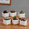 Dongheng Maceta de Animales Estilo Japonés y Coreano Maceta Mini Pulgar Adornos Set de Búho Cambio de Horno Maceta para Suculentas con Base
