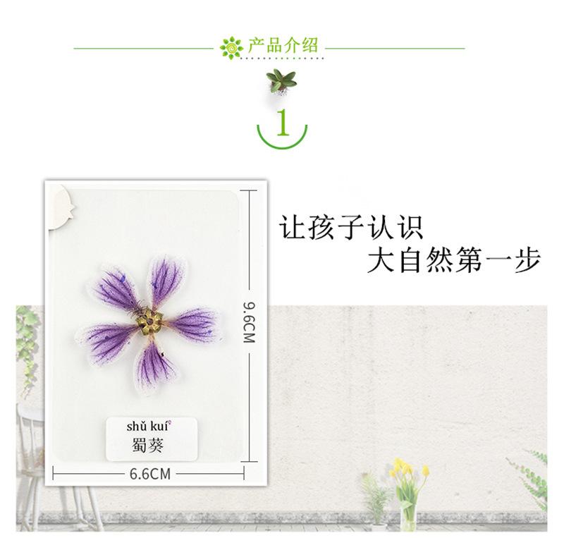 详情干花_03_副本.jpg