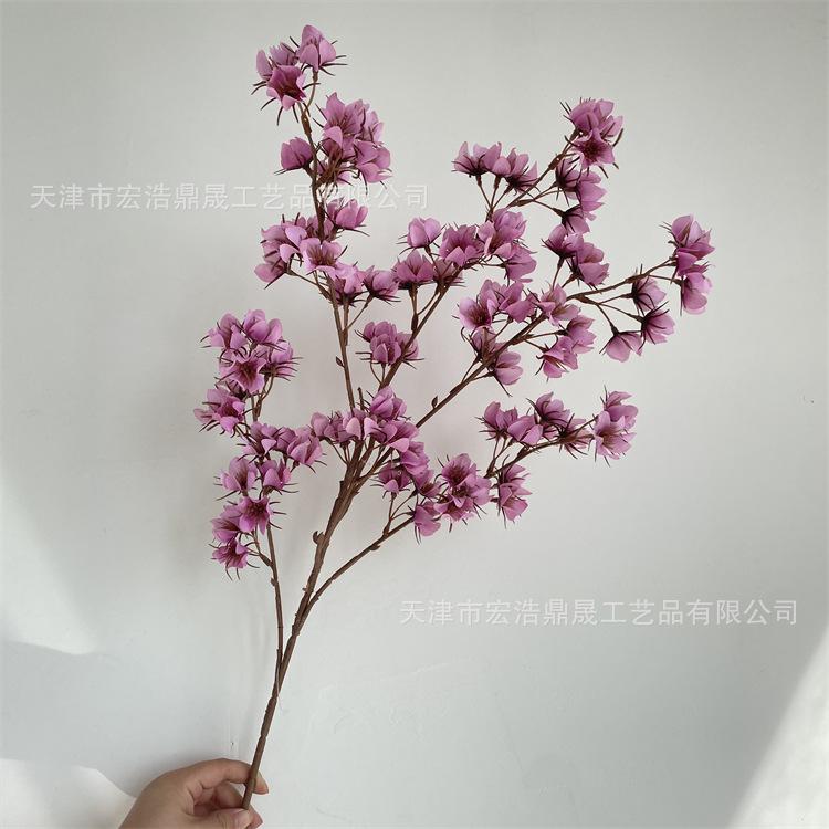 微信图片_202209081727133