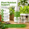 KineShineX Solução Nutriente Líquida para Gramado Sementeira Portátil de Manchas Líquido para Plantio de Grama para Gramados