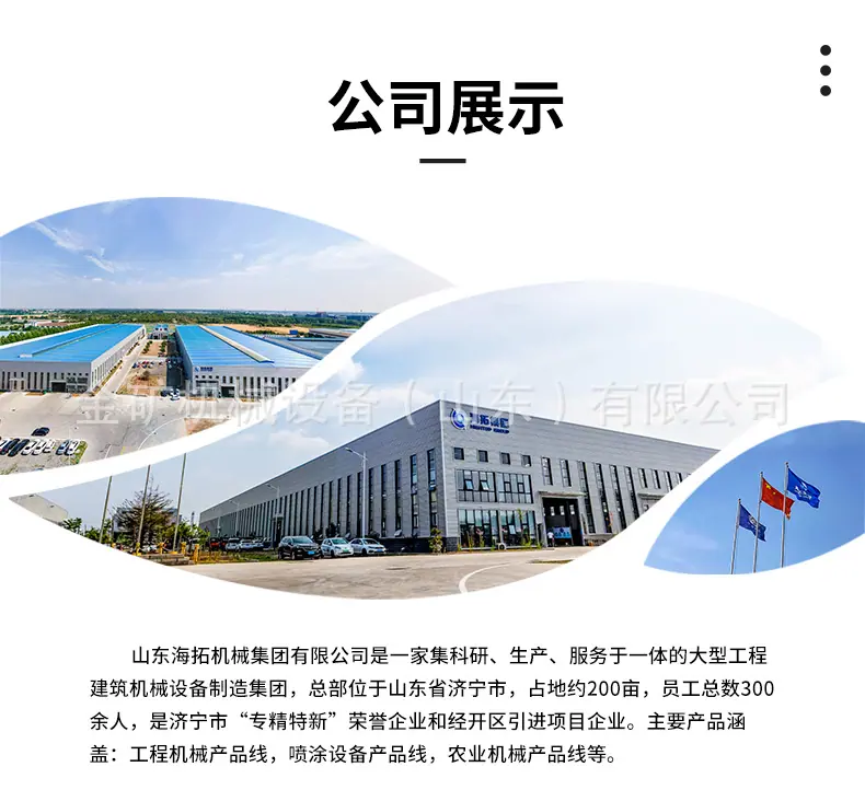 中文详情_11