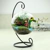 Florero de Vid para Colgar al por Mayor Planta Suculenta Micro Paisaje Decoración Creativa para el Hogar Artesanía Escandinava Zakka