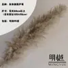 Caña Larga Vietnamita Flor Seca de Yunnan Ramo Decoración Esponjoso Fotografía de Boda Del Suelo al Techo Paisajismo Flor Inmortal Natural