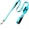 Amazon Pet Supplies Guia de Passeio para Cachorro, Guia para Cachorros de Porte Grande e Médio, Guia para Cachorro Refletiva Espessa de Camada Dupla
