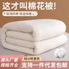 Colcha de algodón de Xinjiang con patrón de escamas de pescado, núcleo de algodón, colcha de invierno, colcha de primavera y otoño, adecuada para literas de dormitorios estudiantiles