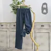 Pantalones Casuales Deportivos para Hombre de Pierna Recta, Delgados, de Verano, Estilo INS Japonés, Holgados, Deportivos, Modernos, con Caída, de Secado Rápido