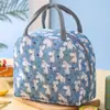 Bolsa Térmica para Lonchera con Dibujos Animados, Bolsa Bento, Bolsa de Almuerzo Portátil, Bolsa Impermeable y a Prueba de Aceite para Entrega de Comida, Bolsa Espesada de Papel de Aluminio