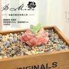 008 Suculenta Rosa Aveludada Cabeça de Flor Pequena Arranjo Floral Acessórios Suprimentos DIY Decoração de Flor Artificial Peça Única Geração Verde Artificial