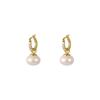 Pendientes de perlas con microincrustaciones para mujer 2023, nuevos y modernos pendientes elegantes de diseño nicho, pendientes de estilo occidental de lujo ligeros de alta calidad.