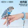 Bolsa para excrementos de loro con cuerda retráctil, transpirable y ligera, bolsa para excrementos pequeña con forma de sol, pañal de loro monje con estampado de peonías y correa a rayas de tigre