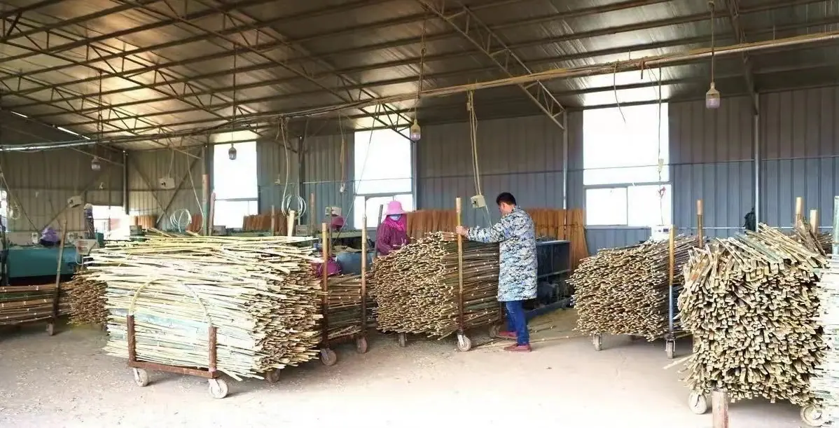 微信图片_20221119190213.jpg