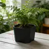 Mini Macetas, Exquisitas Macetas para Suculentas, Pequeñas Macetas para Plantas de Interior, Macetas Pequeñas de Plástico Modernas No Porosas