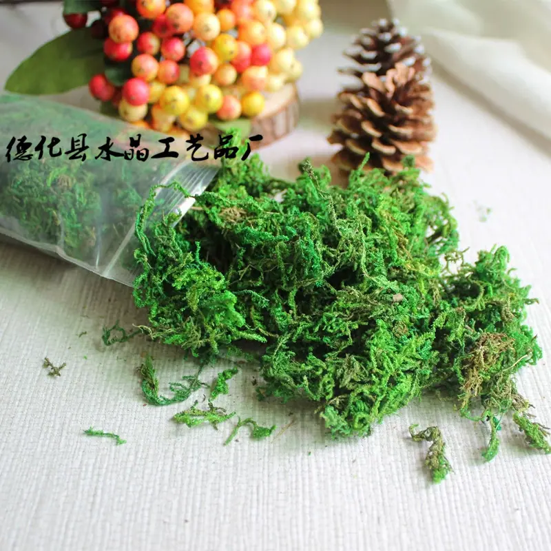 苔藓主图1_副本