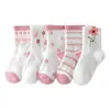 Calcetines para niños 2022 otoño e invierno Nuevos calcetines de algodón peinado de longitud media calcetines de encaje para niñas calcetines de algodón para niños grandes de otoño