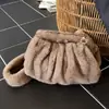 Bolso de Felpa Nube Plisado Transfronterizo de Otoño e Invierno Nuevo Estilo de Dama Bolso de Hombro Nicho para Viajero Bolso Cruzado de Felpa