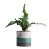 Processamento direto da fábrica vasos de bonsai de plantas suculentas verdes carnudas personalizados cerâmica tamanho pequeno tamanho pequeno país velho retro ideias de jardinagem