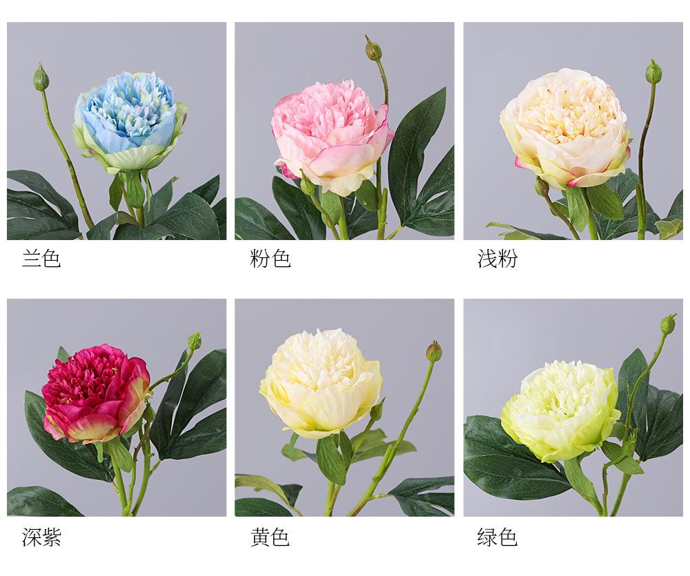 详情_04.jpg