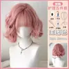 Peruca Rosa Cabelo Curto Feminina Rejuvenescedora Imitação de Cabelo Humano Completo Imitação de Cabelo Humano Completo Curto Cacheado Rolo de Lã Universal Capa Completa para Cabeça COS