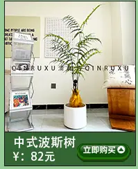 仿真散尾葵