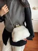 Bolsas, Bolsos Cruzados, Bolsos de Mujer, Bolsos de Hombro con Cadena de Alta Gama, Bolsos de Felpa con Forma de Concha Casual a la Moda, Bolsos Sencillos con Cierre