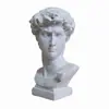 Mini Estatua Pequeña Cabeza de David Gao de 7 cm de Resina Imitación Yeso Escultura Estilo Europeo Adornos para Boceto a Mano