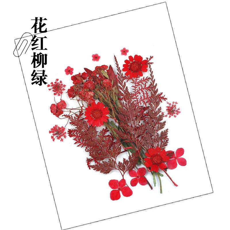 干花材料包-花红柳绿.jpg