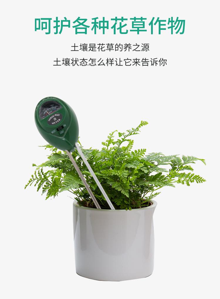 详情-三合一土壤_02