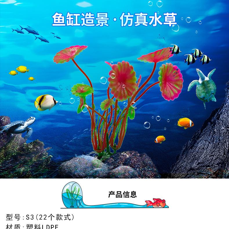 详情_01.jpg