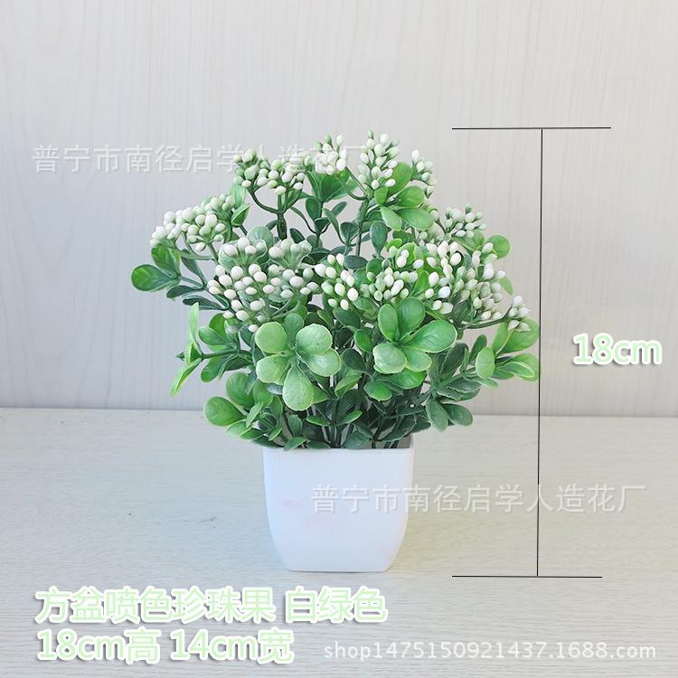 珍珠果白绿