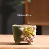 Vaso de Flor Suculenta Verde Elegante Cerâmica Preço Especial Casa Varanda Argila Respirável Gres Vasos de Flores Pequeno Vaso de Cerâmica Liquidação