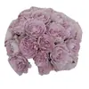 Envío directo de una sola pieza de plántulas de flor Rosa Nebulosa, arbustos en maceta, flores grandes fragantes, flores de rosa azules y moradas que florecen frecuentemente en todas las estaciones
