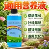 Solución Nutritiva Planta Tipo Universal Maceta Hidropónica Bambú de la Suerte Potos Planta del Dinero Solución Nutritiva Flor de Rosa Fertilizante Especial
