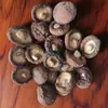 Hongos Shiitake Secos del Noreste 100g Empacados en Papel Hongos Dorados de la Montaña Changbai, Hongos Secos Especiales Cultivados en Granja, Entrega Directa desde el Lugar de Origen