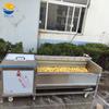 Equipo de limpieza codonopsis tipo 80 de acero inoxidable Lavadora de ginseng tipo cepillo fabricantes máquina automática de limpieza de esencia amarilla