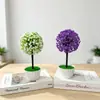 Nuevas plantas artificiales en maceta con diseño de cielo estrellado y flor de cerezo, perfectas para la decoración del hogar, creando una exhibición creativa y mejorando el ambiente de un restaurante
