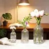 Jarrón de Vidrio de Sodio-Calcio Personalizado Transfronterizo, Tarro de Almacenamiento de Vidrio, Estilo Minimalista de Lujo Ligero con Rayas Verticales, Jarrón Hidropónico para Flores de Sala de Estar