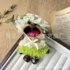 Muñeca de Cáscara de Fruta DIY Actividad de Salón Popular en Xiaohongshu Colgante Alivio del Estrés Terapia de Sonido Regalo del Día del Maestro