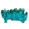 80 Tipos de Penas Naturais de Faisão, Penas Reais, Decorações Nativas Americanas, Acessórios DIY, Acessórios de Cabelo, Peças para Brinquedo de Vara para Gato