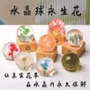 Adornos de Bola de Cristal Creativa Transfronteriza con Flor Eterna y Luces de Colores Reciclables en Monocromo como Regalo de Cumpleaños para tu Novia y Mejor Amiga