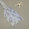 Flor mágica hierba de la pequeña esperanza eterna ramo flor real Natural Alto sentido ins estilo nórdico sala de estar decoración jarrón Flor eterna