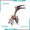 Venda Direta da Fábrica Modelo Mini Dinossauro Jurássico Simulador Pterossauro Dinossauro Velociraptor Dragão da Foice Espinossauro Ornamentos