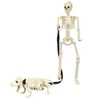 Adornos de Calavera Artificial para Halloween Set de Perro Esqueleto de 90 cm Decoración para Patio Jardín Casa Embrujada Truco