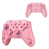 Novo controle de jogo Switch2, controle para PC Steam, sensor magnético Hall, iluminação RGB, programação de macros, controle de voz por tecla C, nove eixos