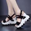 Sandalias de Cuña Nuevas 2024 Estilo Hada para Mujer Verano Populares Nuevas Celebridades de Internet Plataforma Plataforma Punta Abierta Sandalias de Tacón Alto