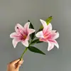 2 Lírios Artificiais de Filme para Decoração na Sala de Estar, Mesa de Centro, Aparador, Decoração de Casamento e Arranjo de Flores