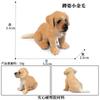 Modelo de perro de simulación transfronterizo adornos sólidos golden retriever perro Chai Corgi perro de lidia perro bóxer galgo perro lobo de mano