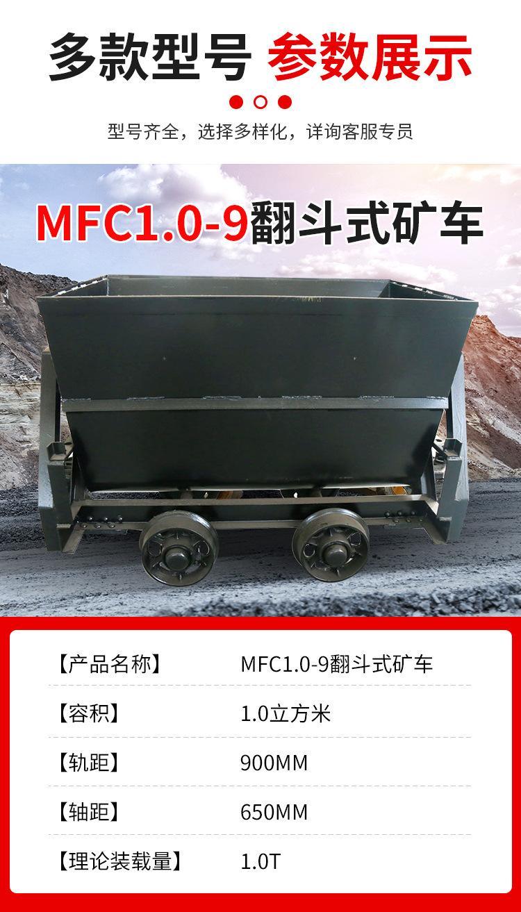 MFC1_03.jpg