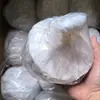 Fitas Lançadas à Mão, Teia de Aranha Lançada à Mão, Adereços de Atmosfera de Celebração Festiva, Suprimentos para Festa de Casamento Festival, Papel Lançado à Mão de Aniversário