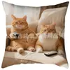 Funda de Almohada de Gato Más Vendida en Temu, Funda de Almohada de Animales Linda y Divertida, Funda de Cojín Decorativa para Dormitorio, Hogar, Sofá, Venta al por Mayor